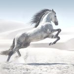 Wide gallery full width - image horse-150x150 on http://unstabled.uk